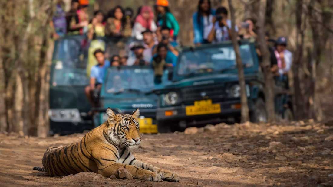 Golden Triangle Tour with Ranthambore